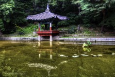 Secret Garden