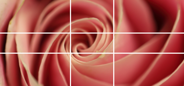 Photography, Photography Composition, Golden Ratio