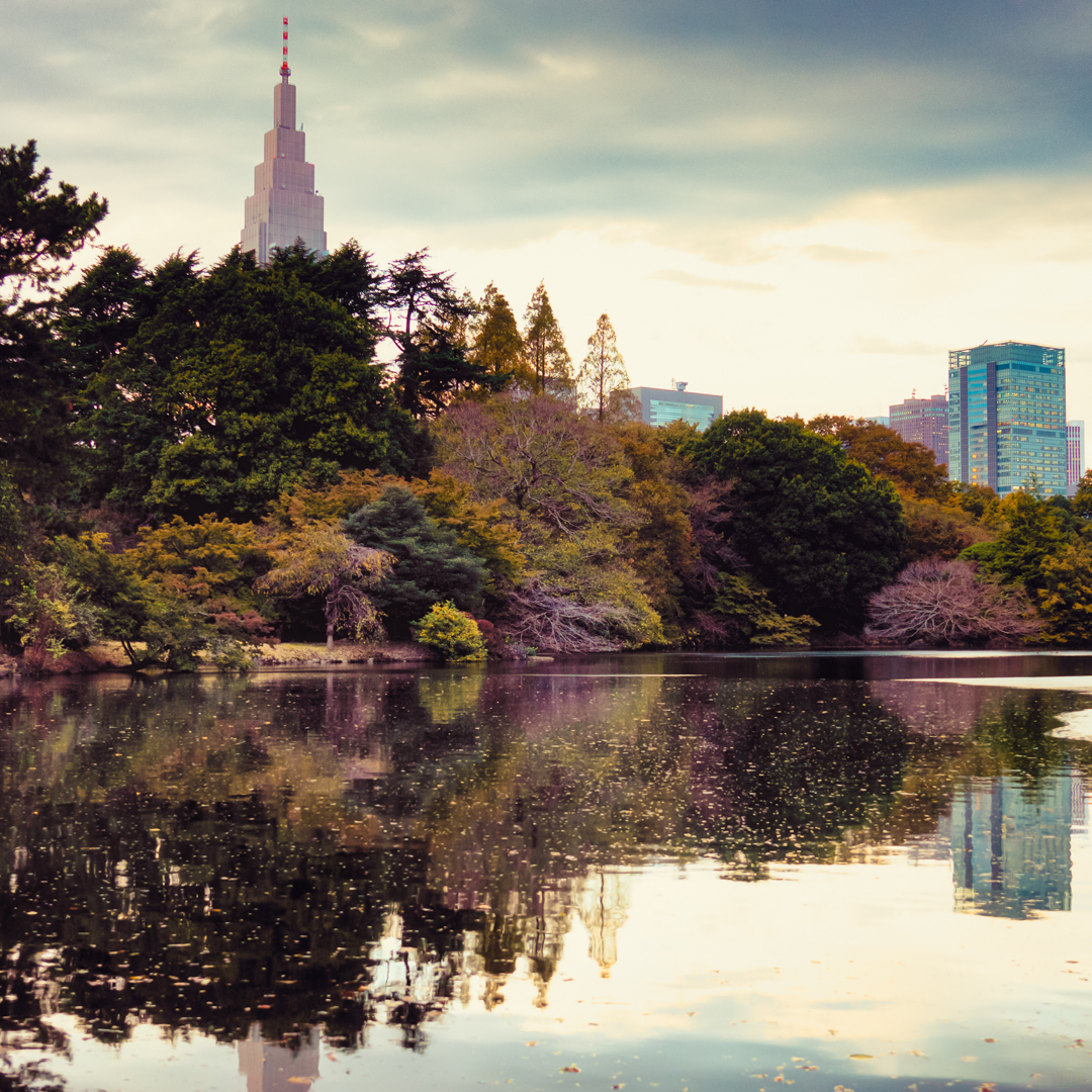 Shinjuku Gyoen